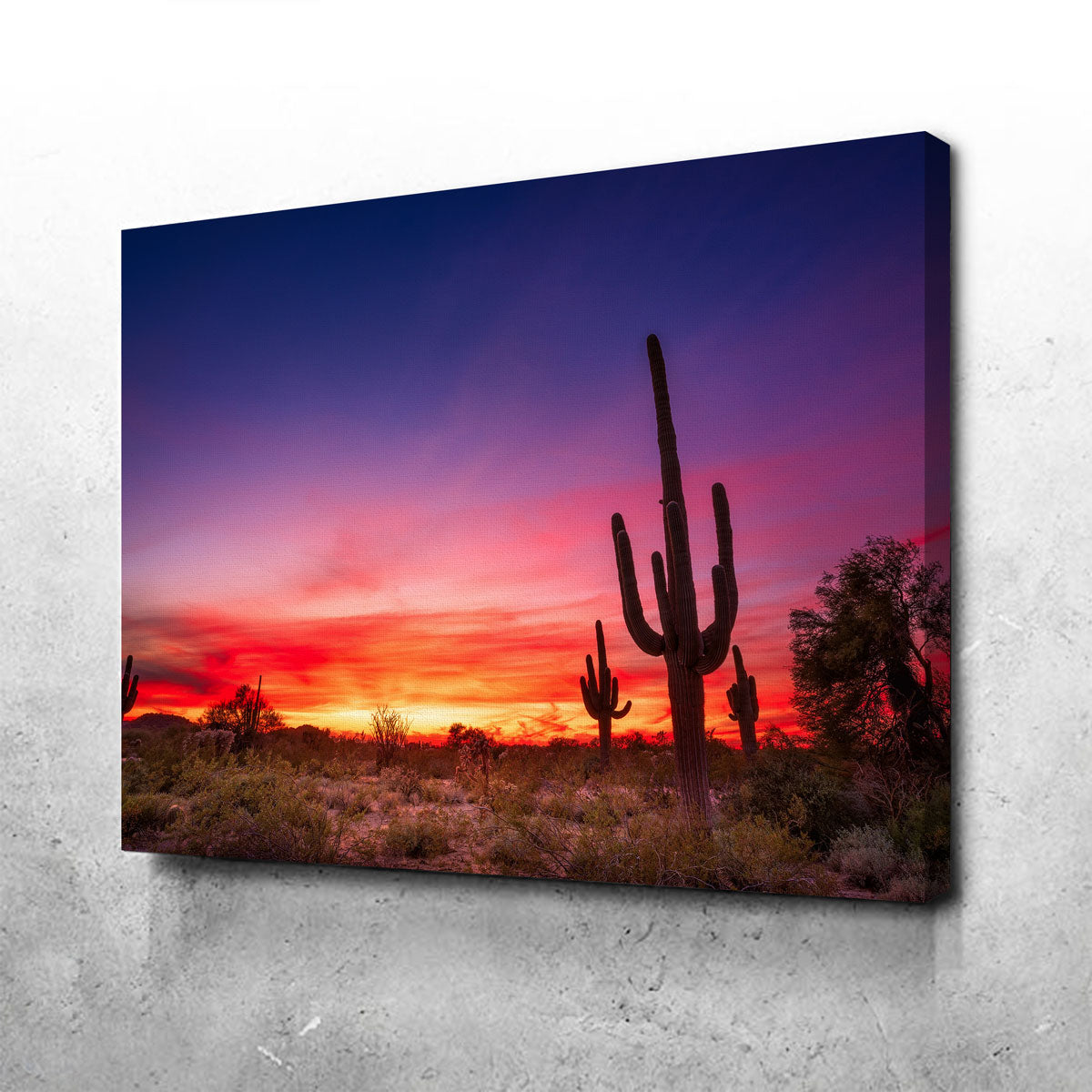 Arizona Landscape Wall Art
