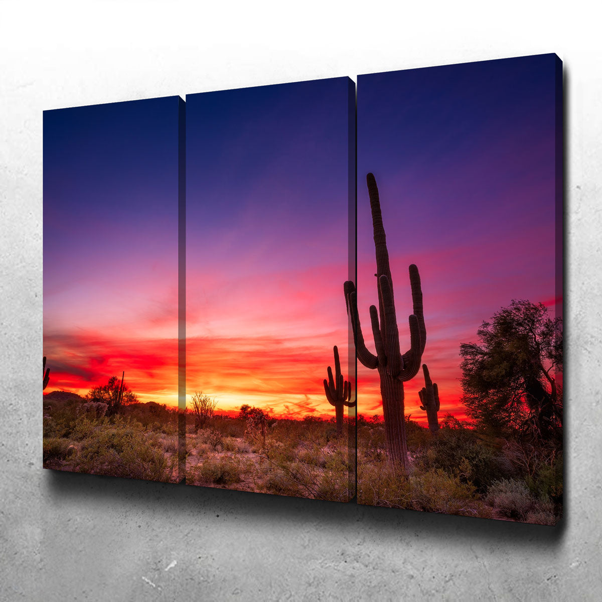 Arizona Landscape Wall Art