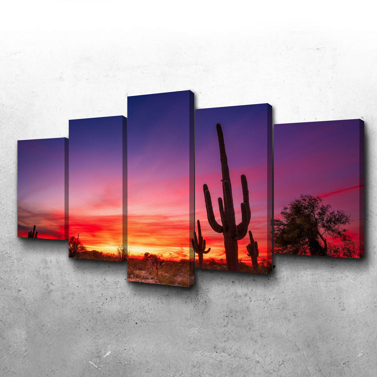 Arizona Landscape Wall Art