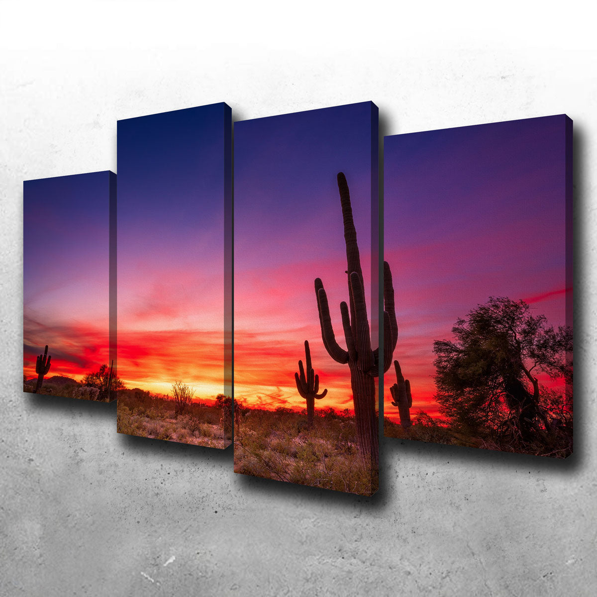 Arizona Landscape Wall Art