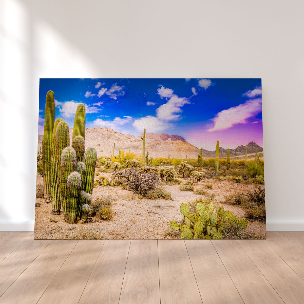 Arizona Desert Springtime Wall Art