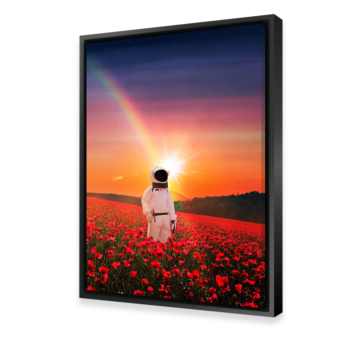 Astro Sunset Wall Art
