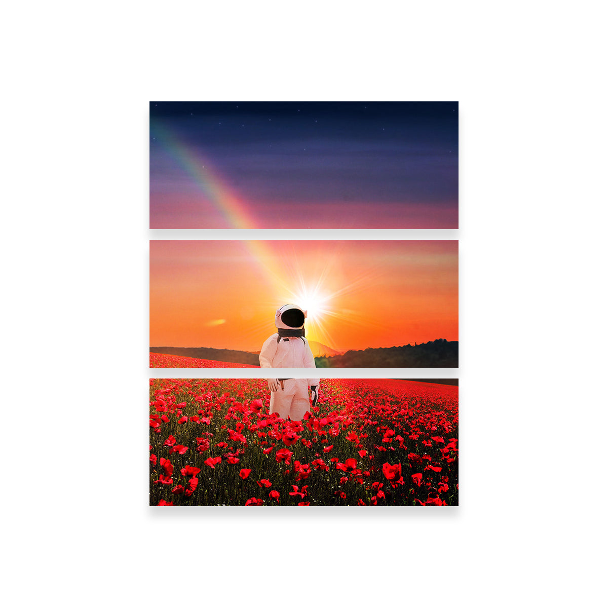 Astro Sunset Wall Art