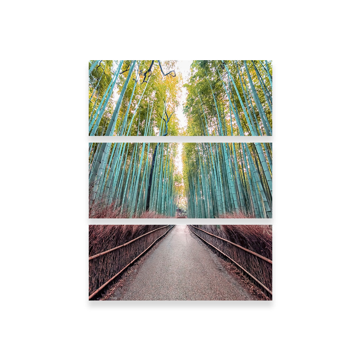 Bamboo Alley Wall Art