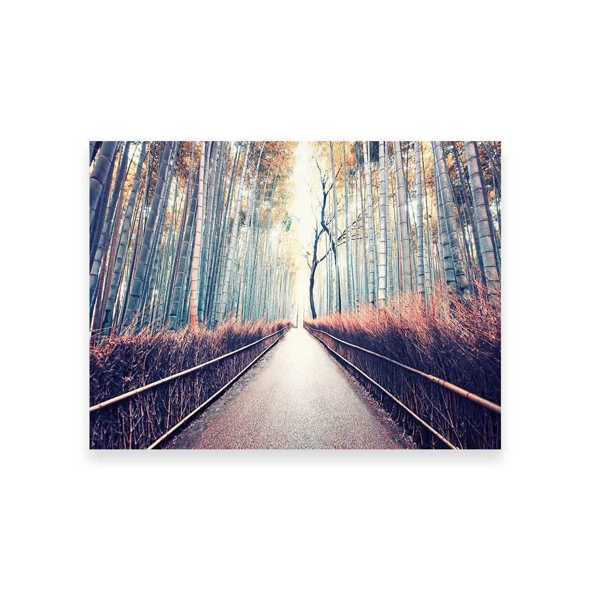 Bamboo Forest Wall Art
