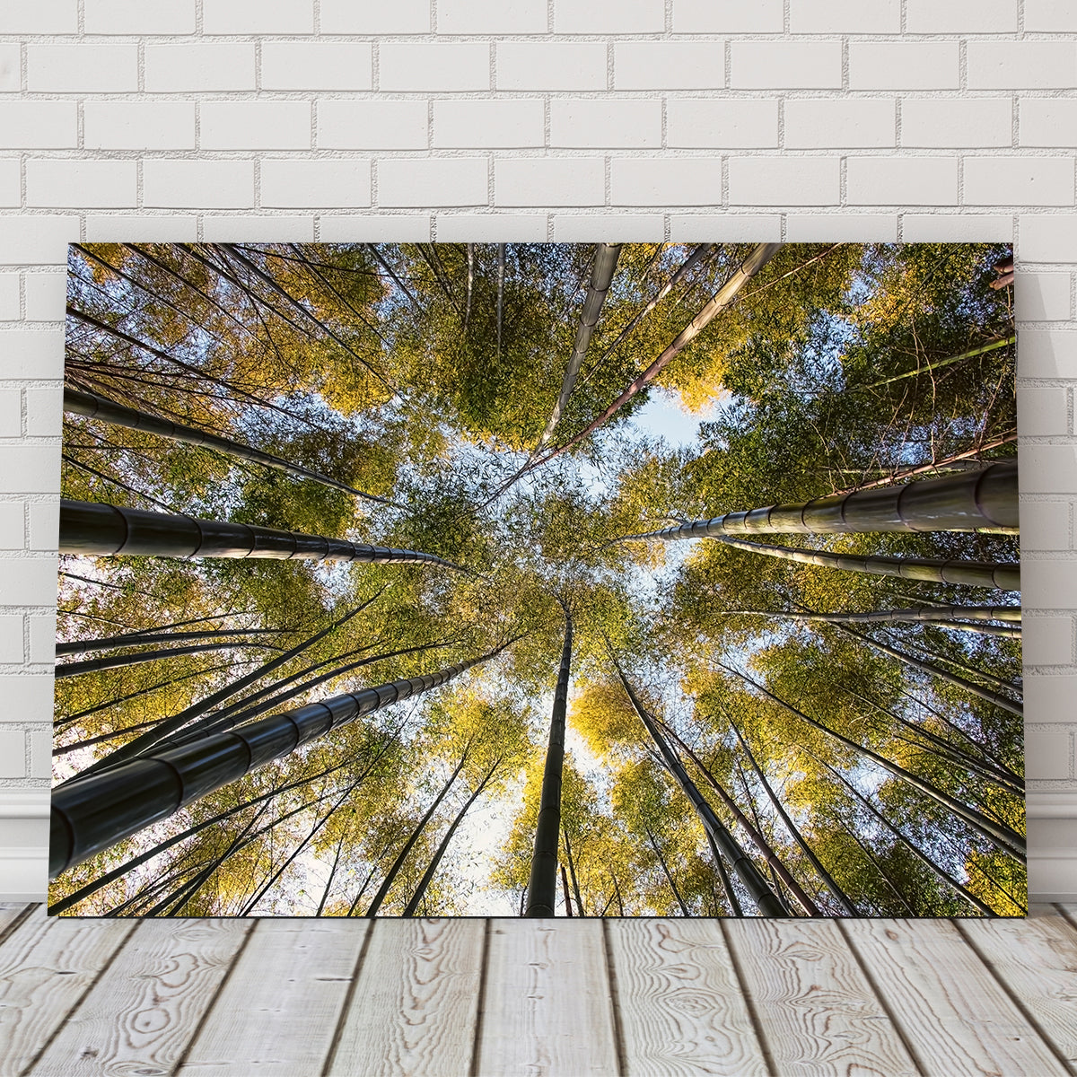 Bamboo Grove Wall Art