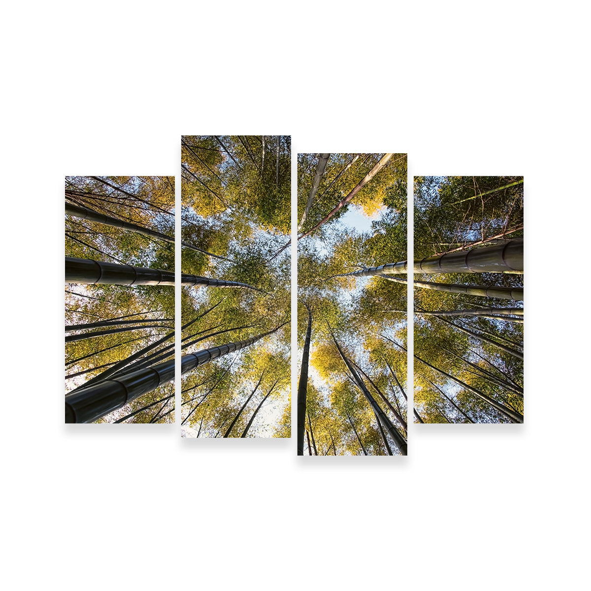 Bamboo Grove Wall Art