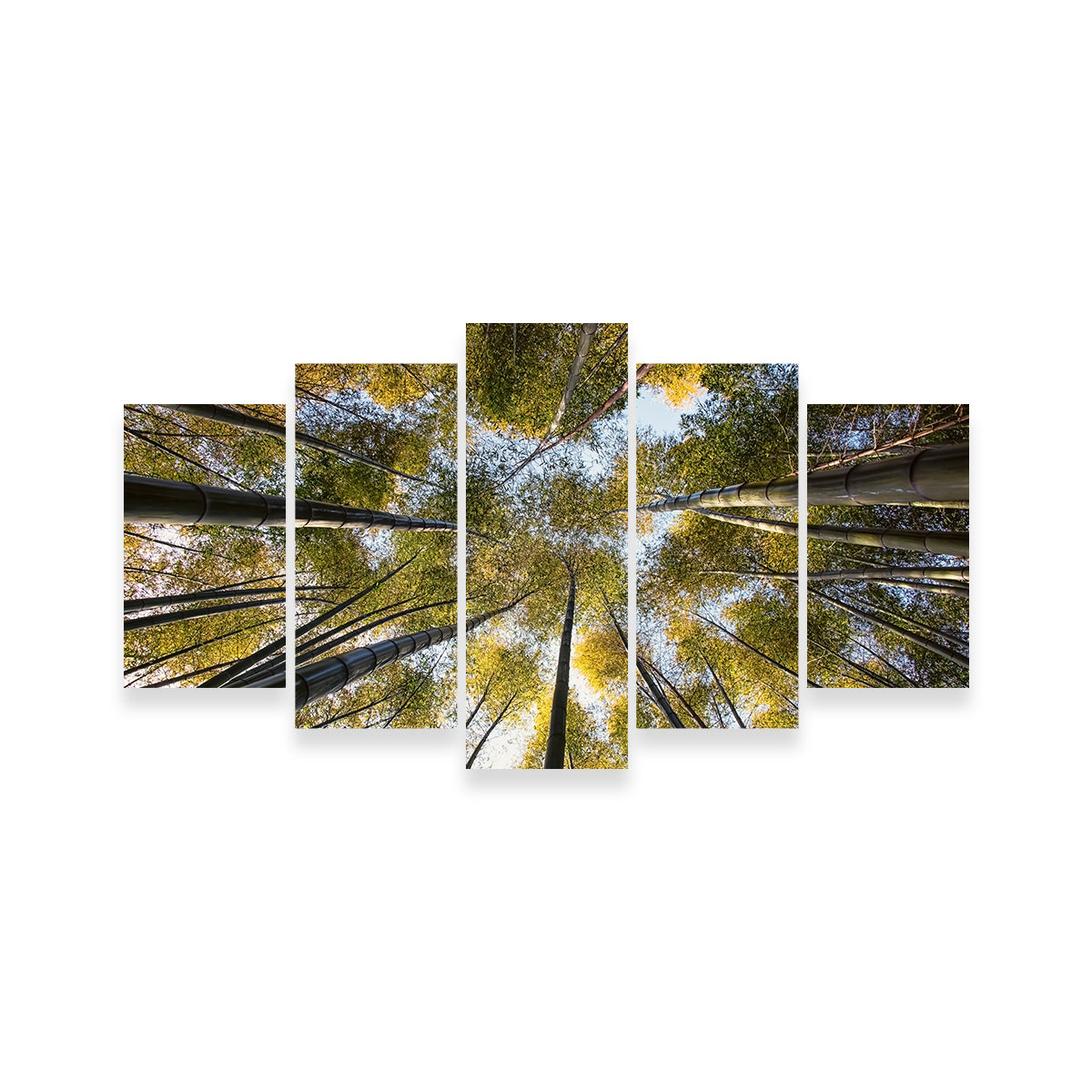 Bamboo Grove Wall Art