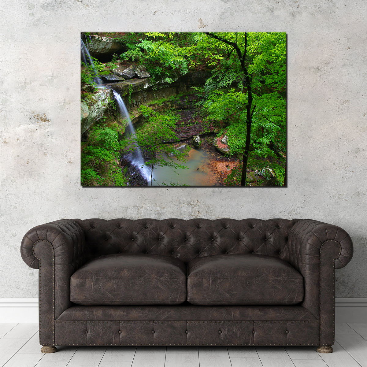 Bankhead National Forest Wall Art