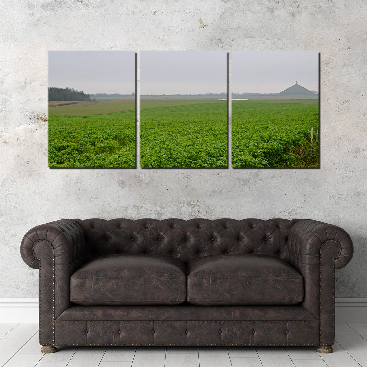 Battle of Waterloo Wall Art