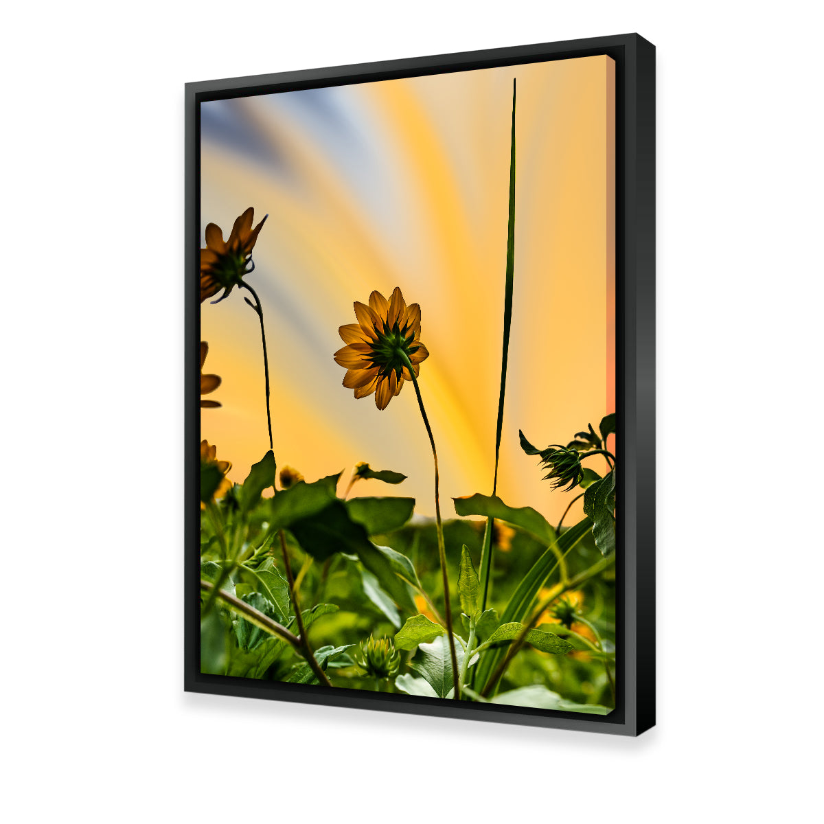 Beach Sunflowers Wall Art