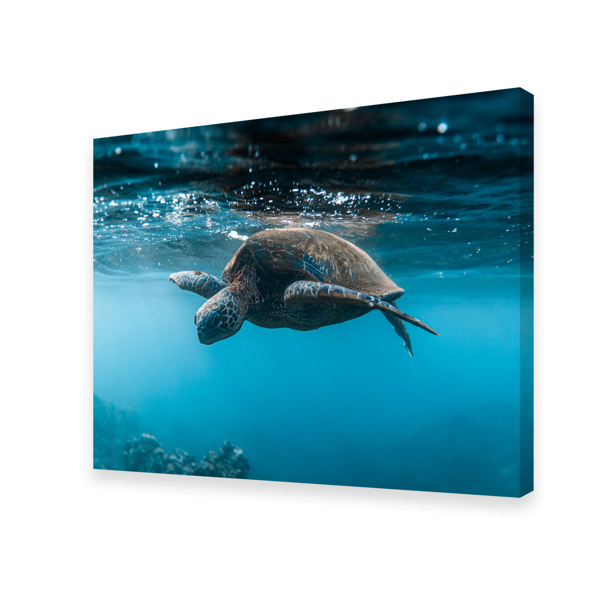 Below the Surface Wall Art