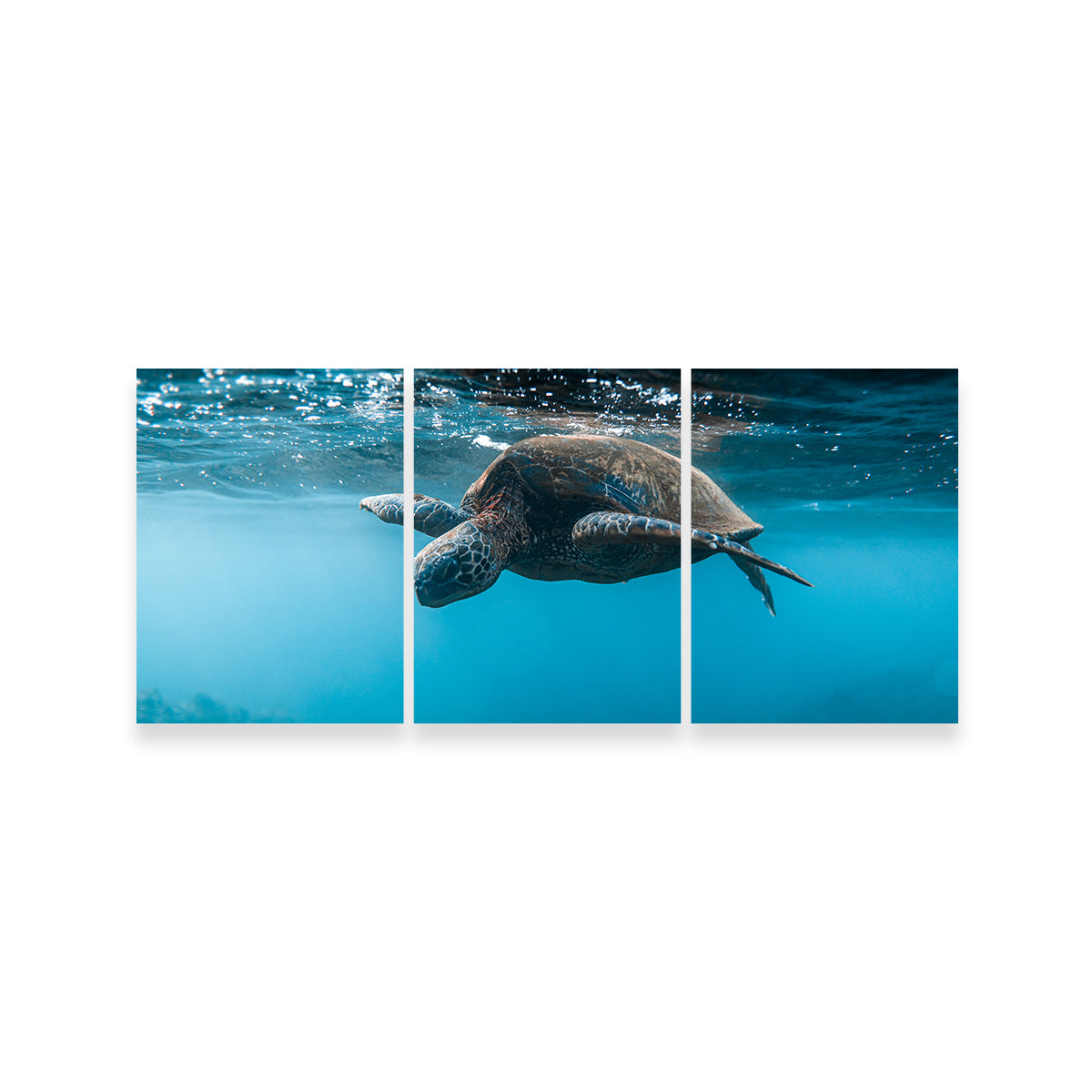 Below the Surface Wall Art