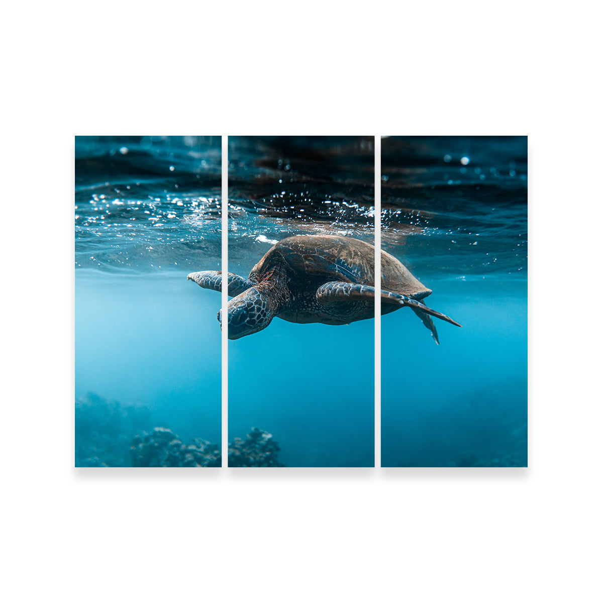 Below the Surface Wall Art
