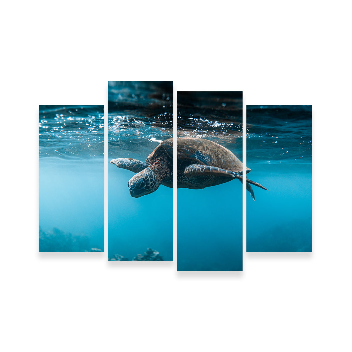 Below the Surface Wall Art