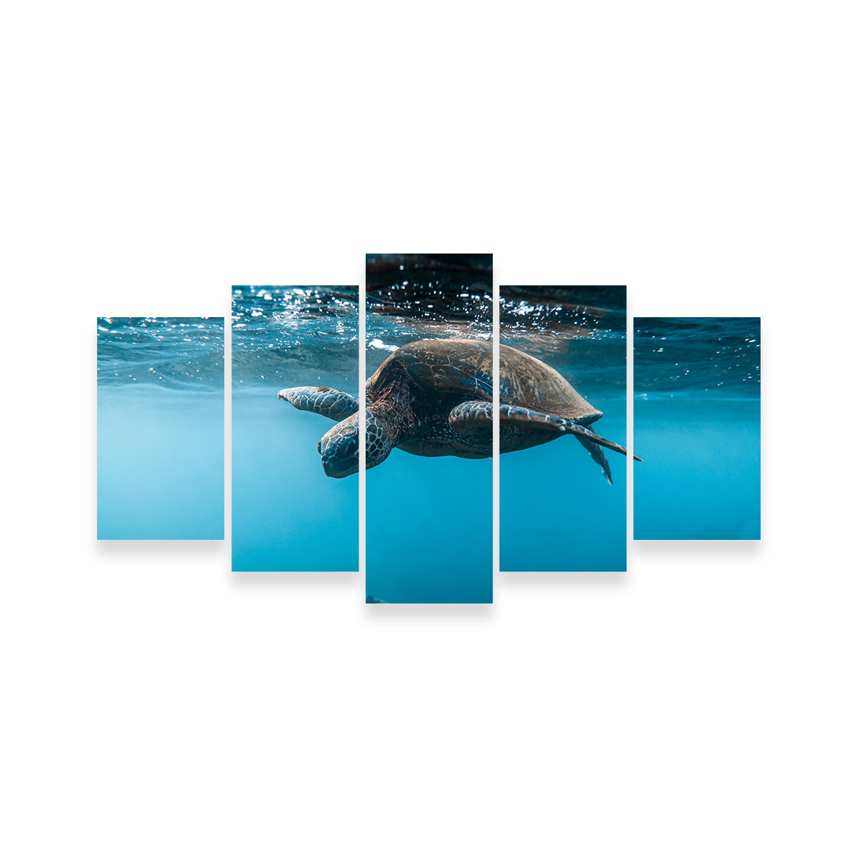 Below the Surface Wall Art