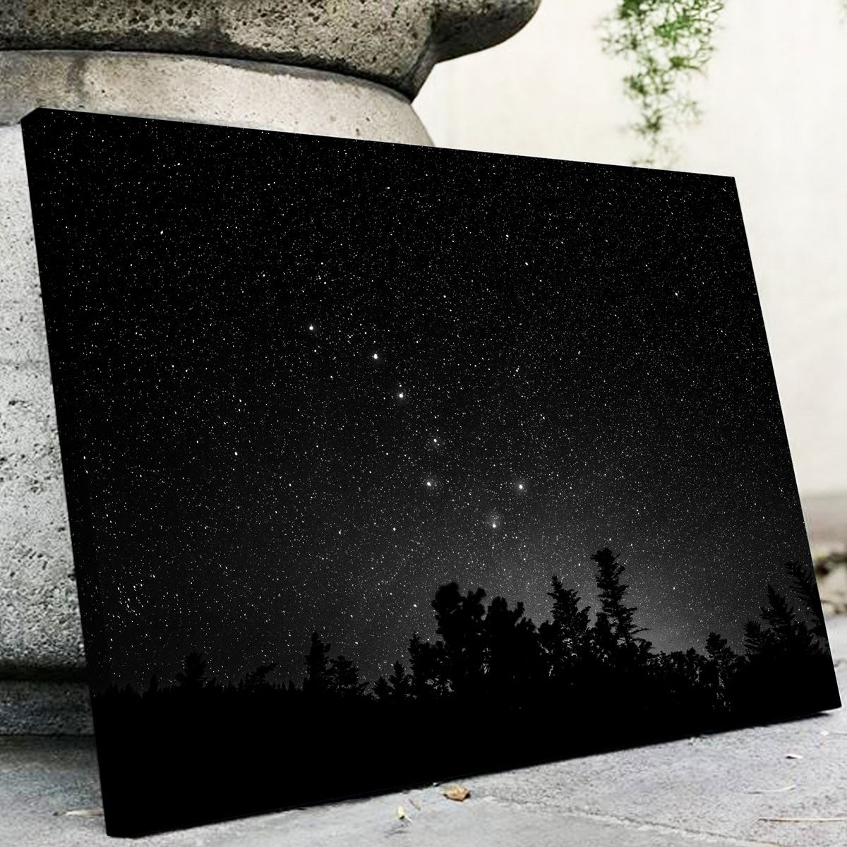 Big Dipper Starry Night Wall Art