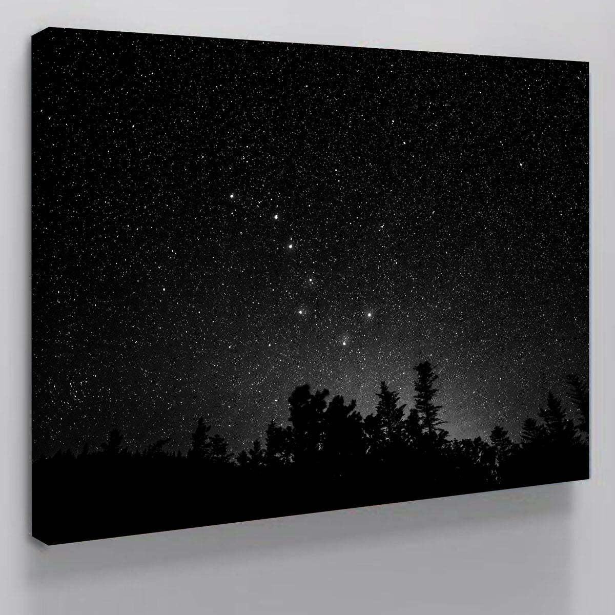 Big Dipper Starry Night Wall Art