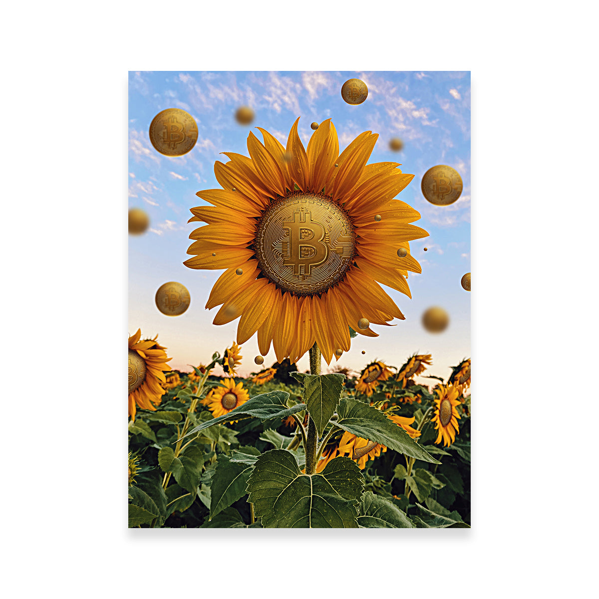 Bitcoin Flower Wall Art