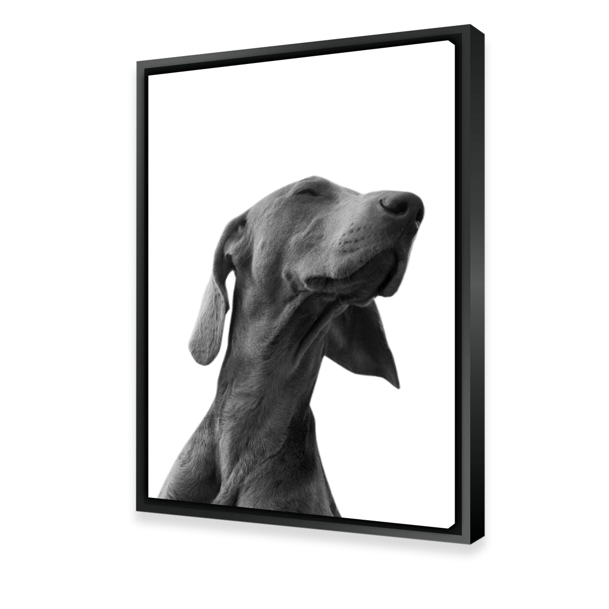 Black Dog Wall Art