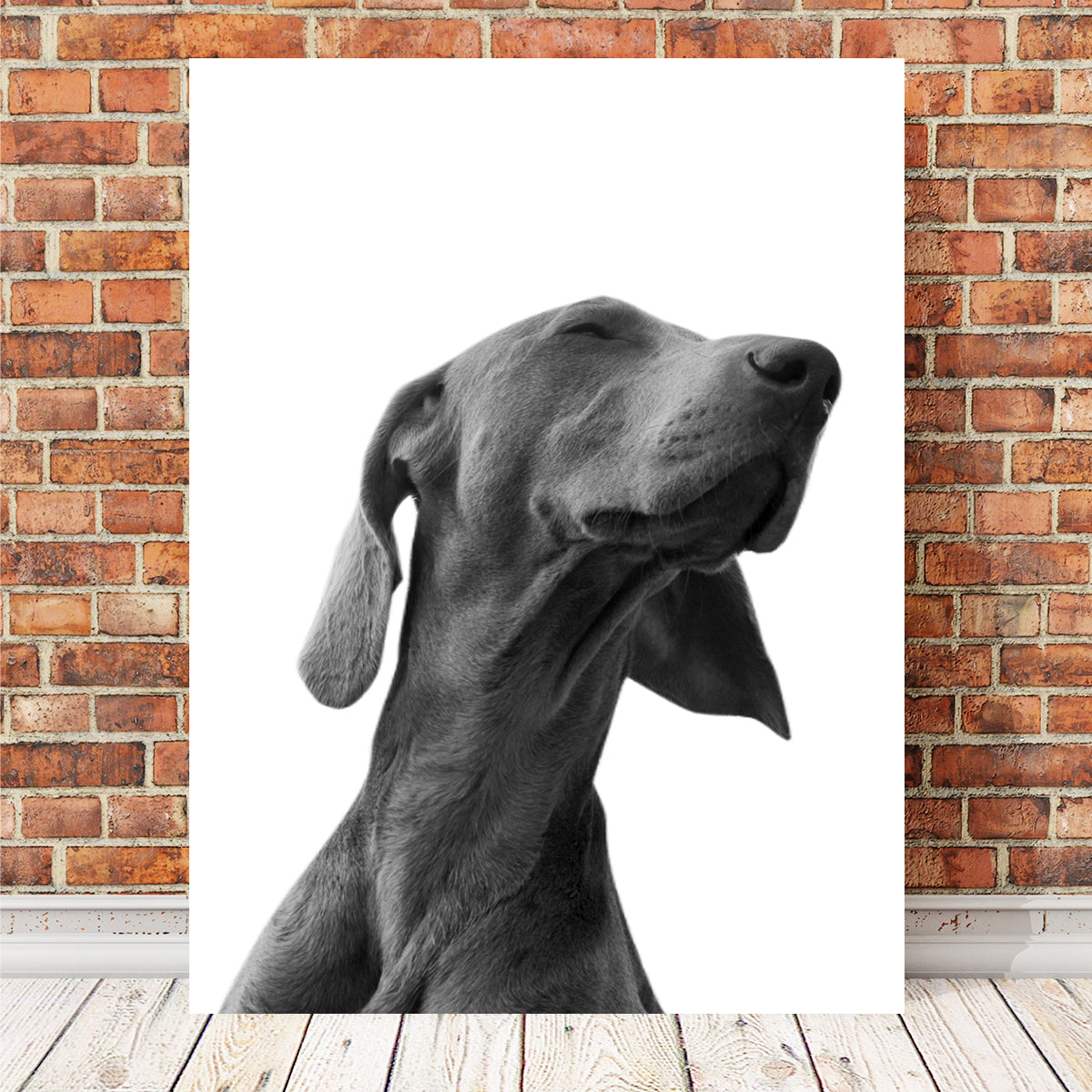 Black Dog Wall Art