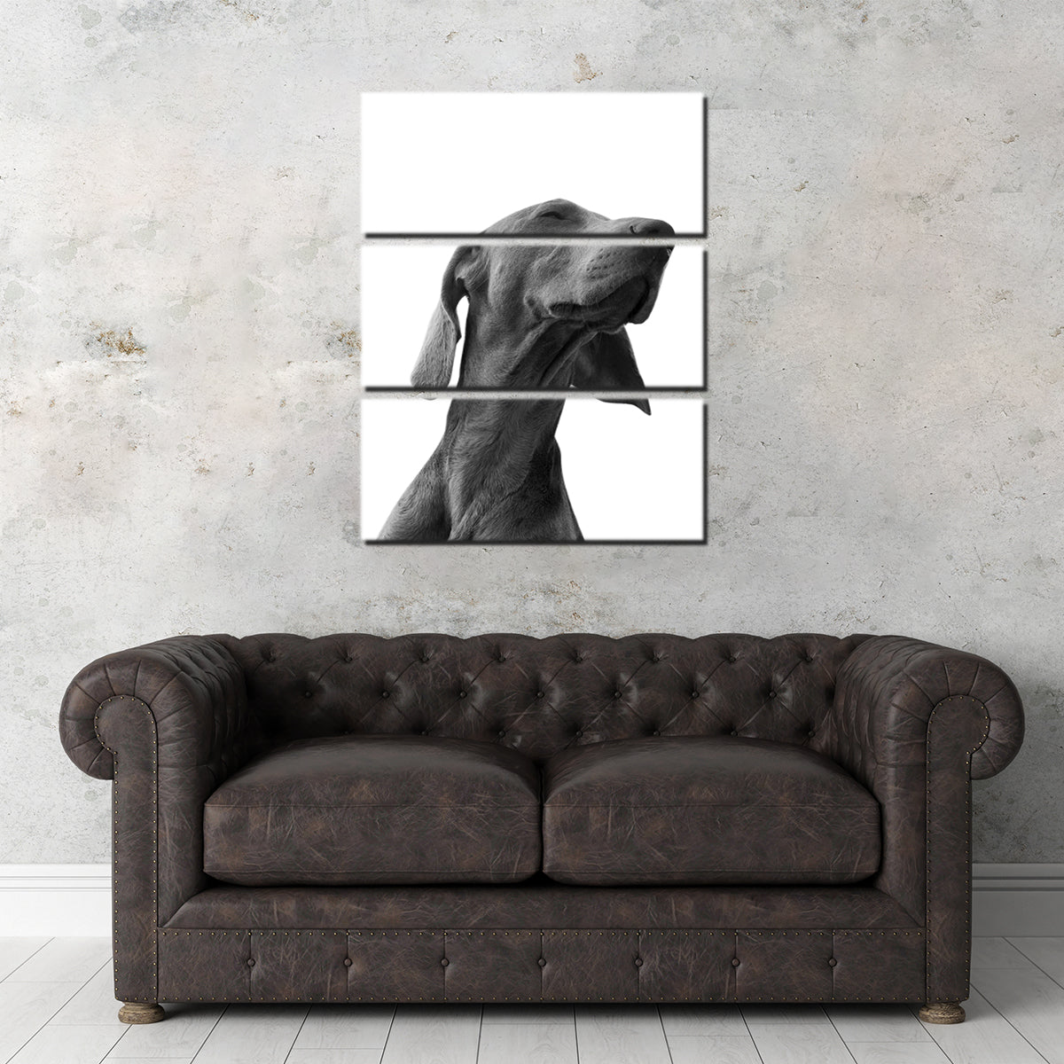 Black Dog Wall Art