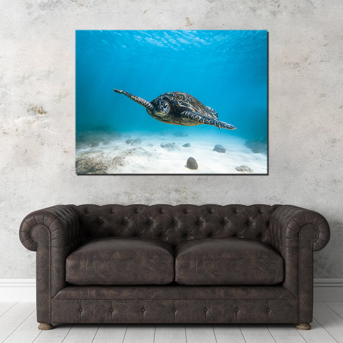 Blue Turtle Wall Art