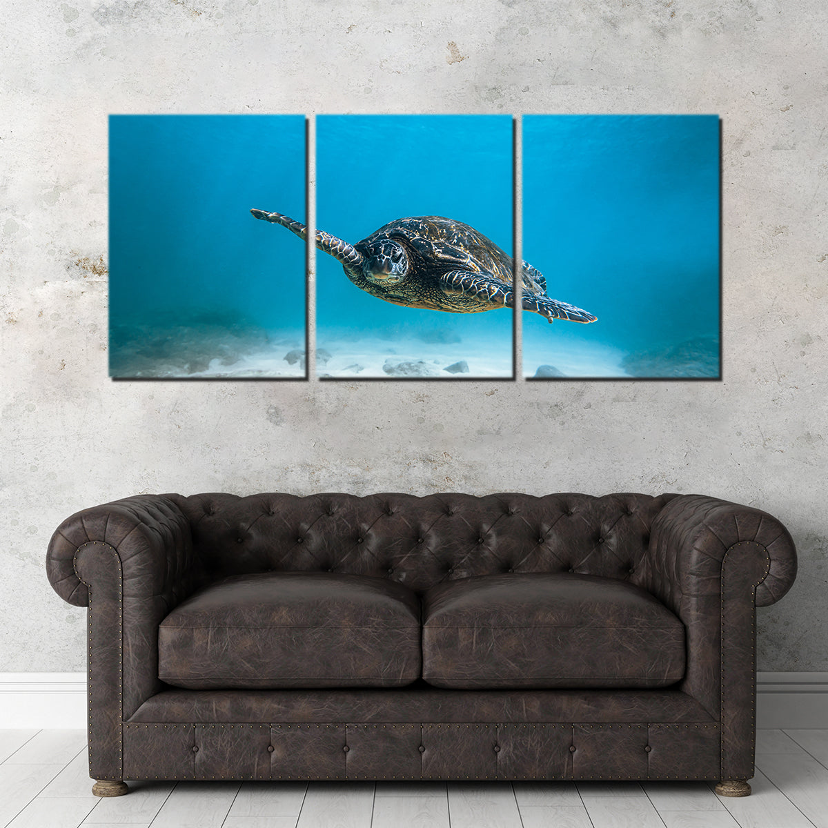 Blue Turtle Wall Art