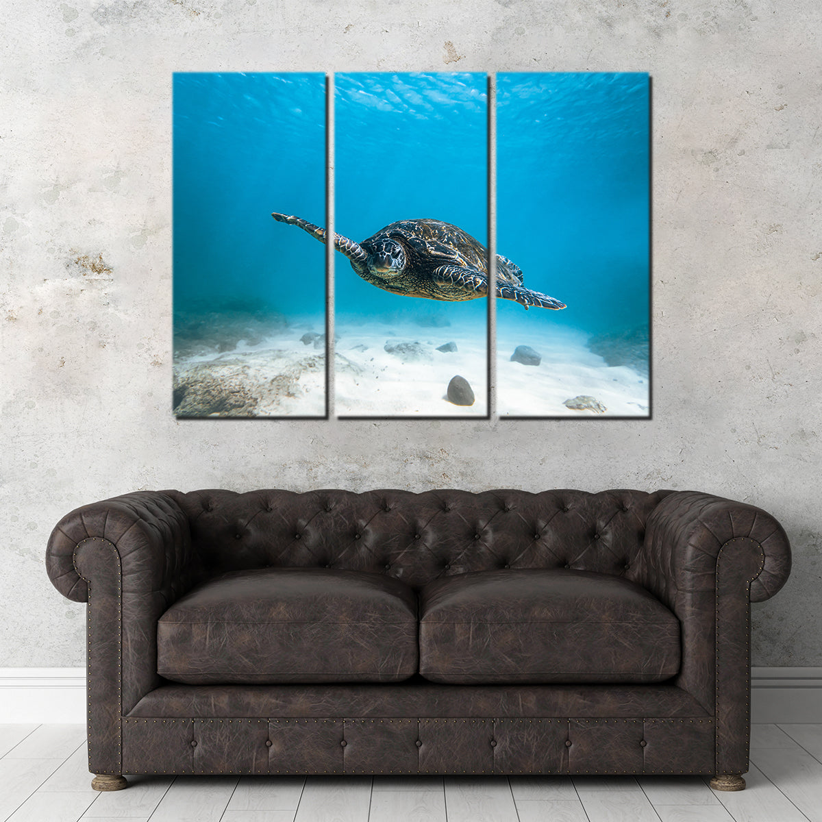 Blue Turtle Wall Art