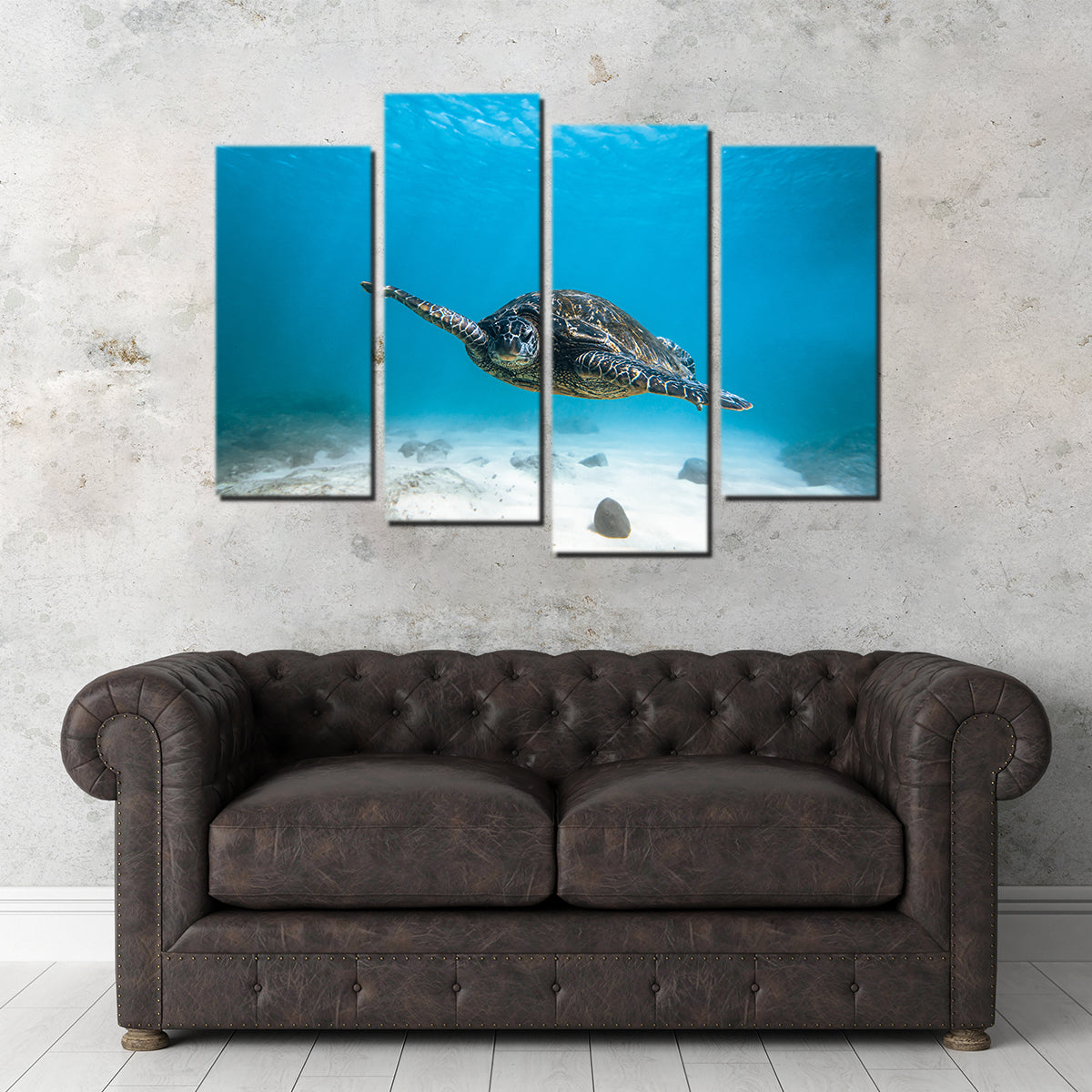 Blue Turtle Wall Art
