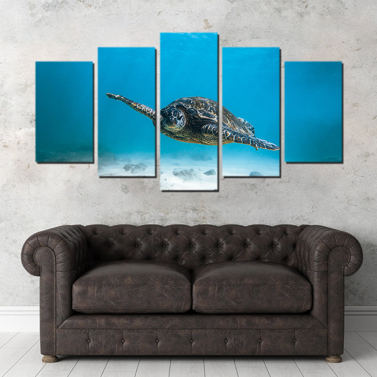 Blue Turtle Wall Art