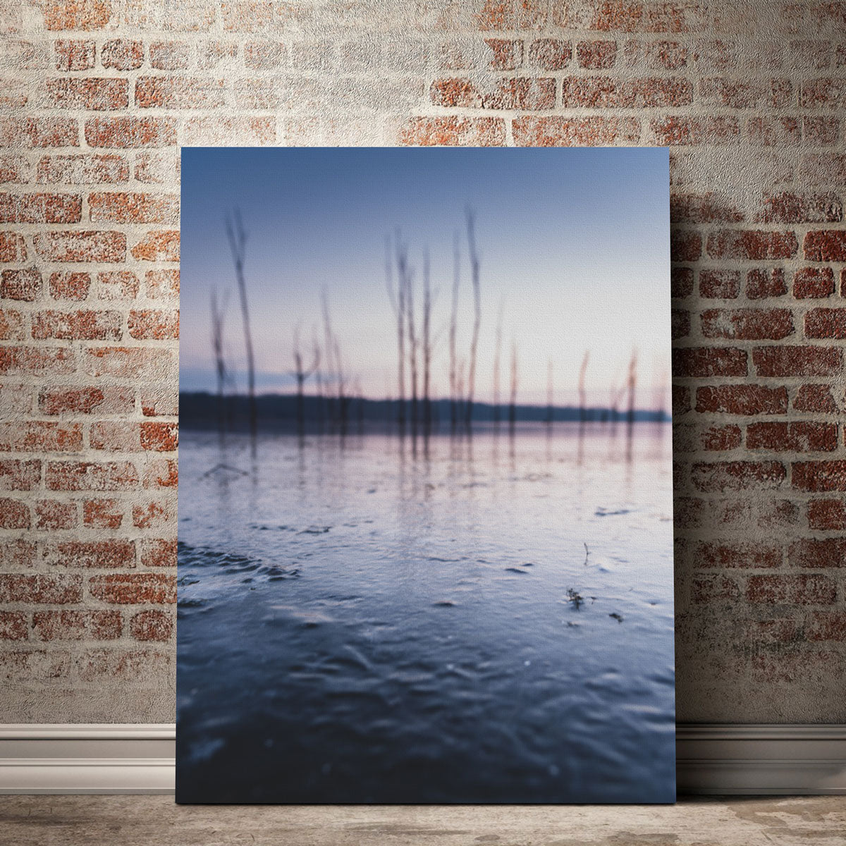 Blurred Isolation Wall Art