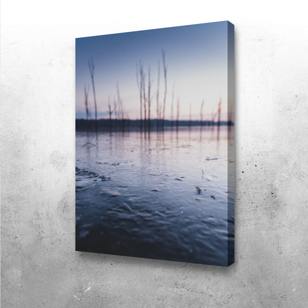 Blurred Isolation Wall Art