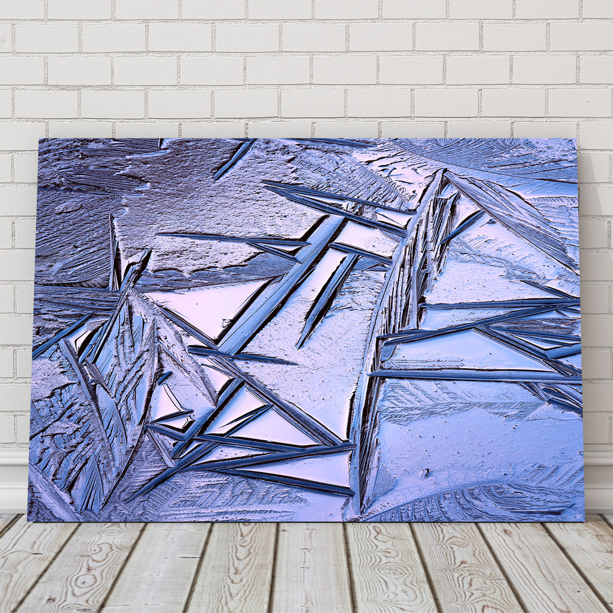 Bog Ice Morning Reflection Wall Art