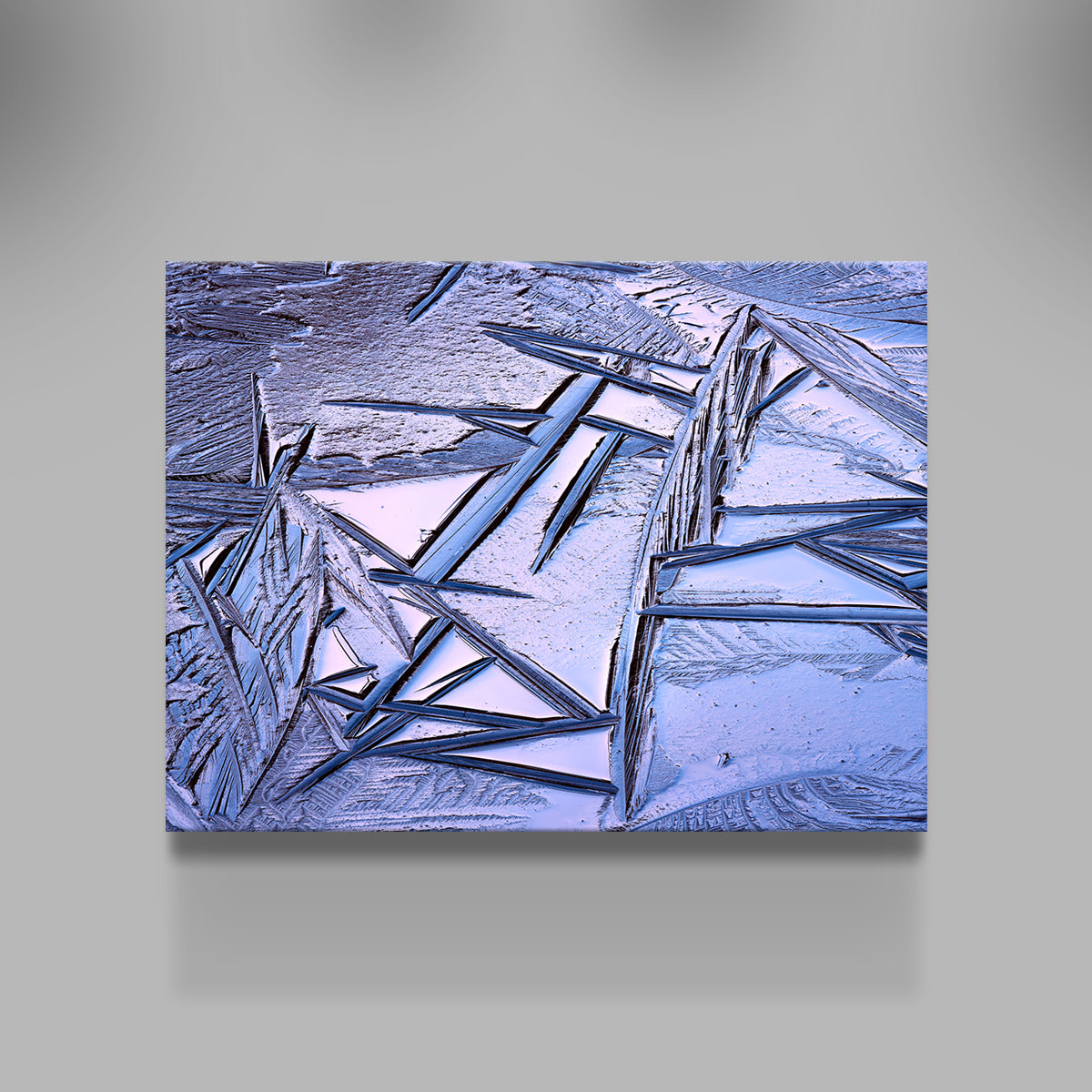 Bog Ice Morning Reflection Wall Art