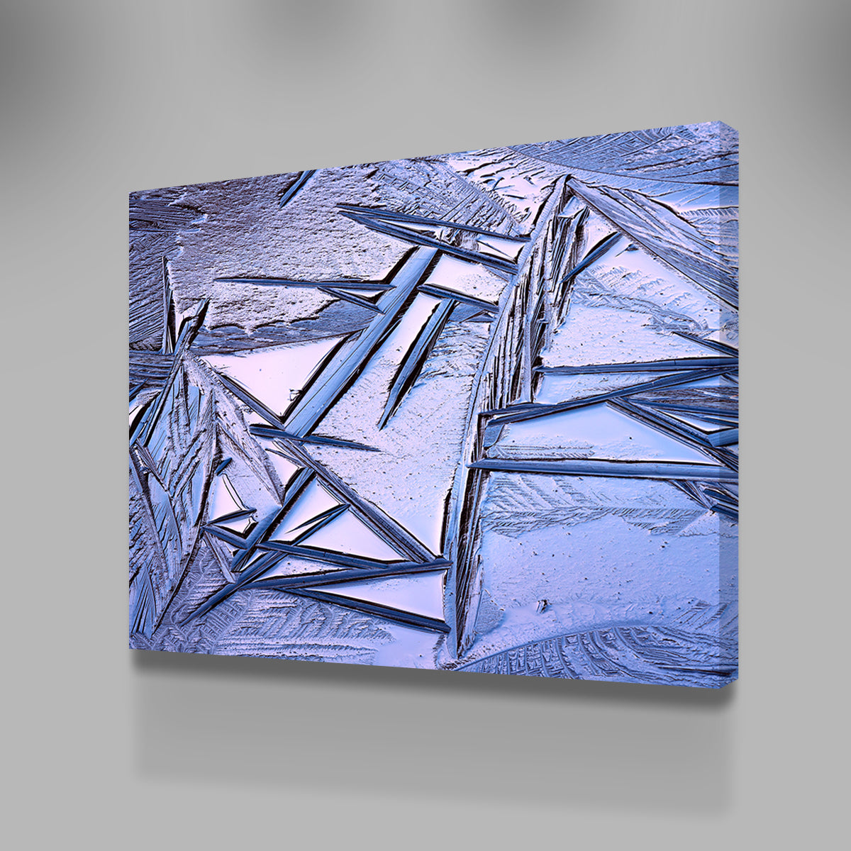 Bog Ice Morning Reflection Wall Art