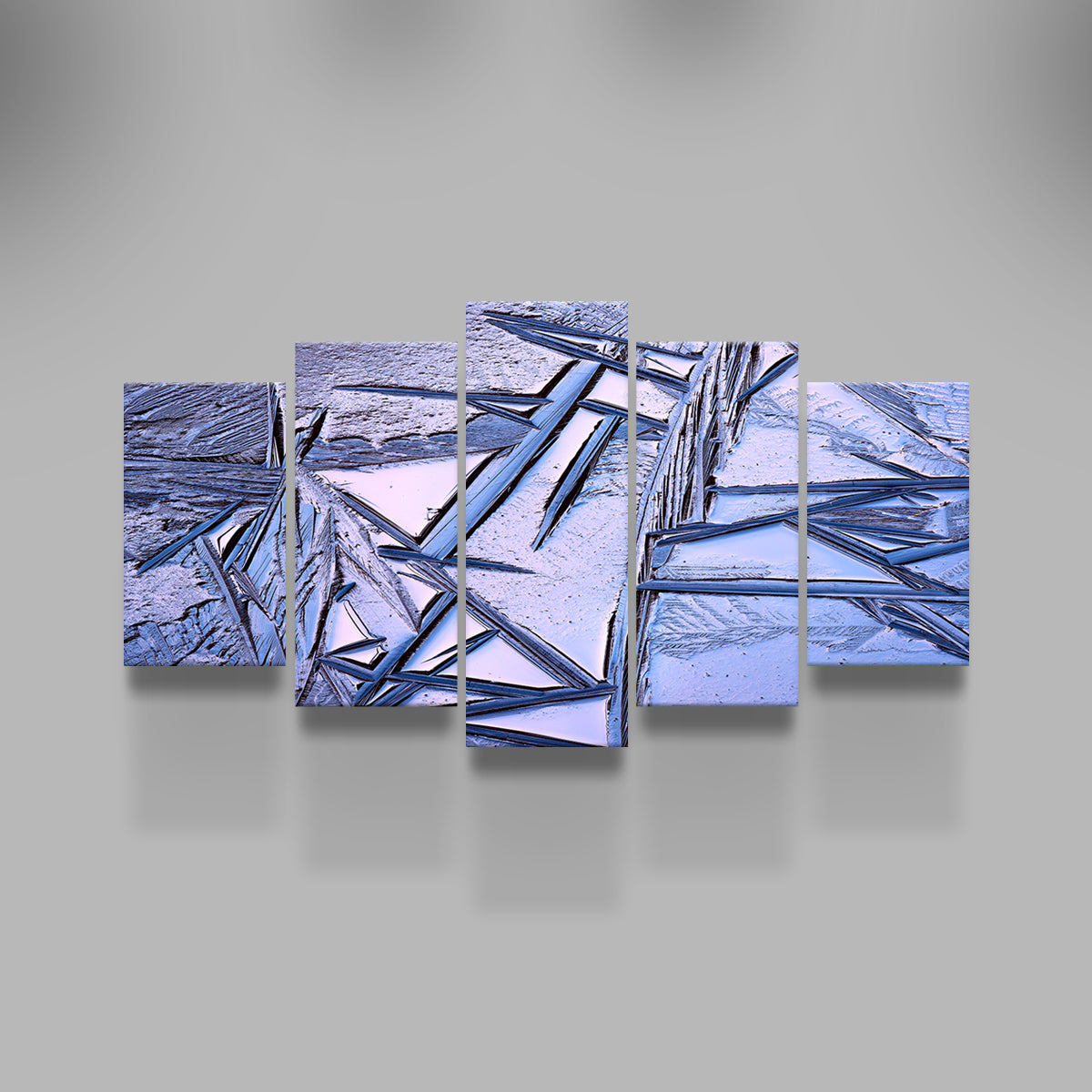 Bog Ice Morning Reflection Wall Art
