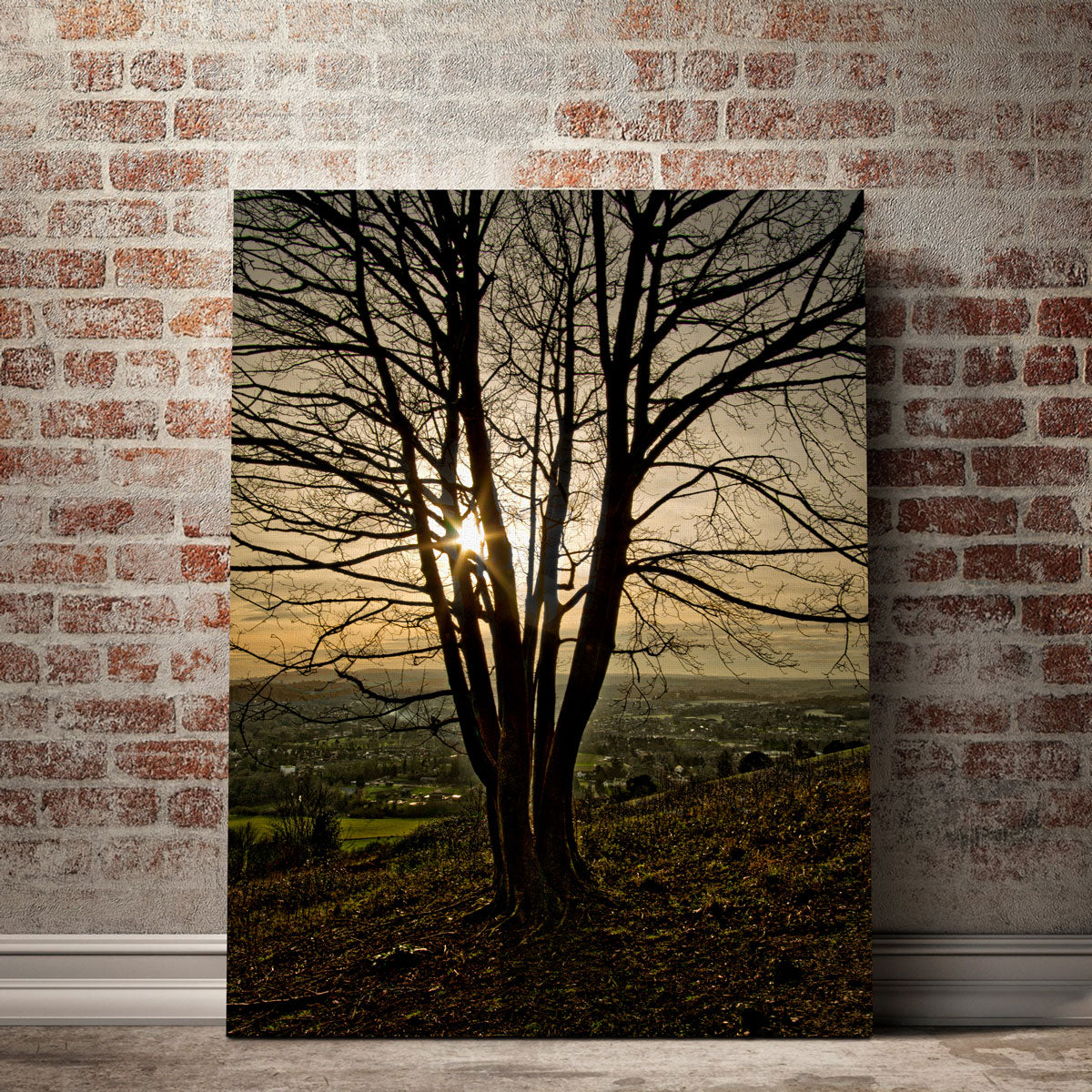 Box Hill Sunset Wall Art