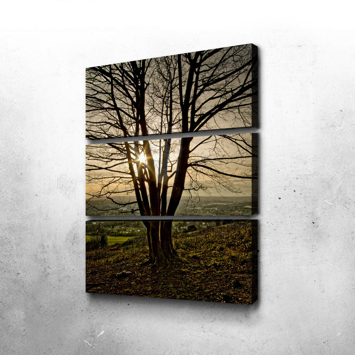 Box Hill Sunset Wall Art