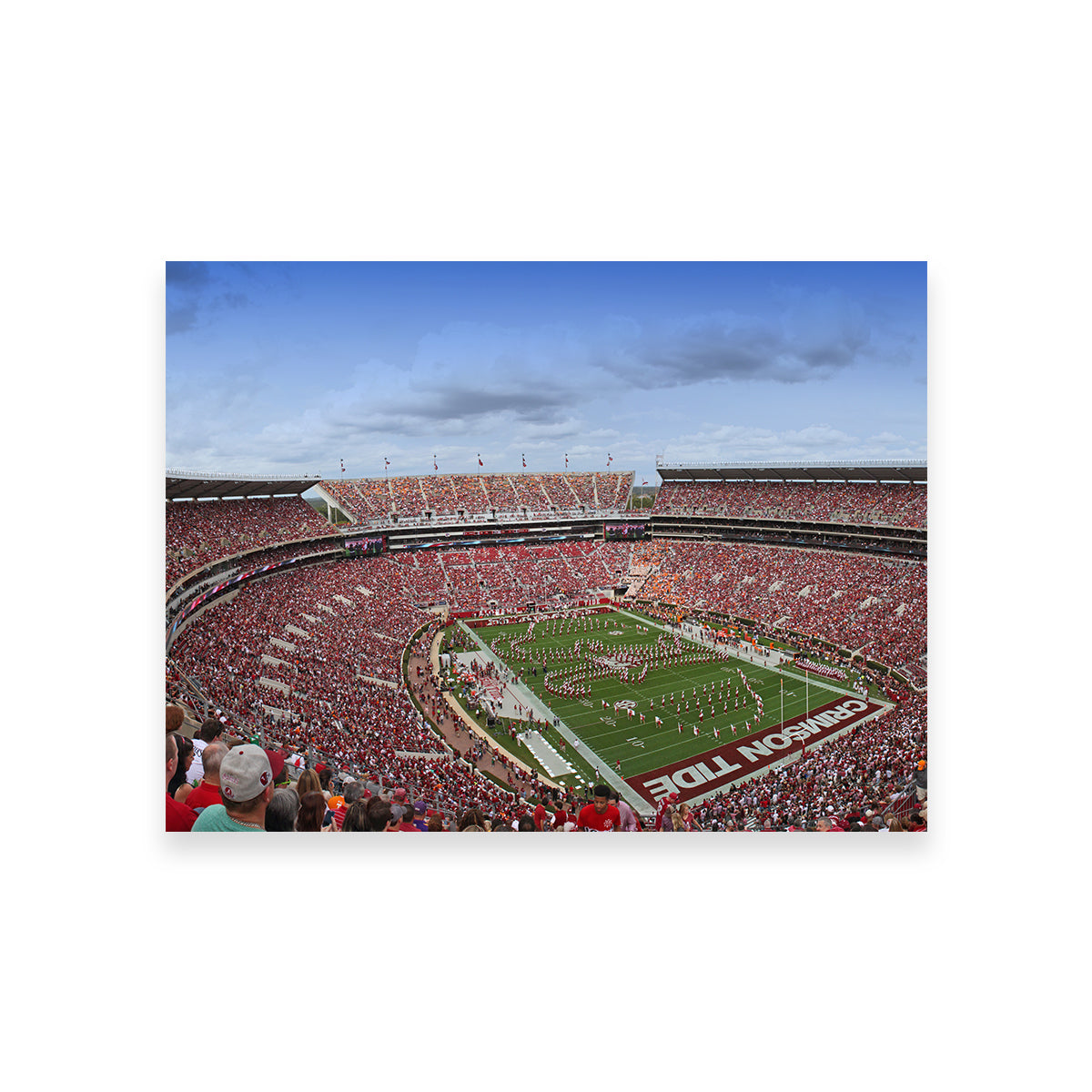 Bryant Denny Stadium Wall Art