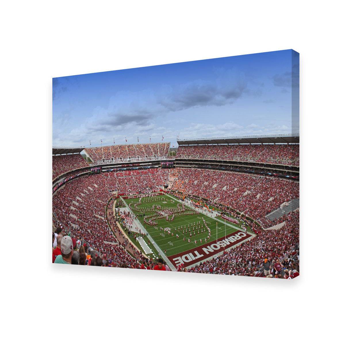 Bryant Denny Stadium Wall Art