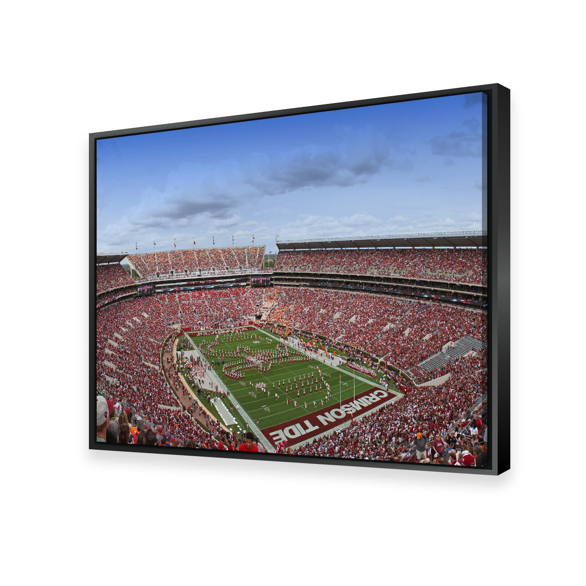 Bryant Denny Stadium Wall Art