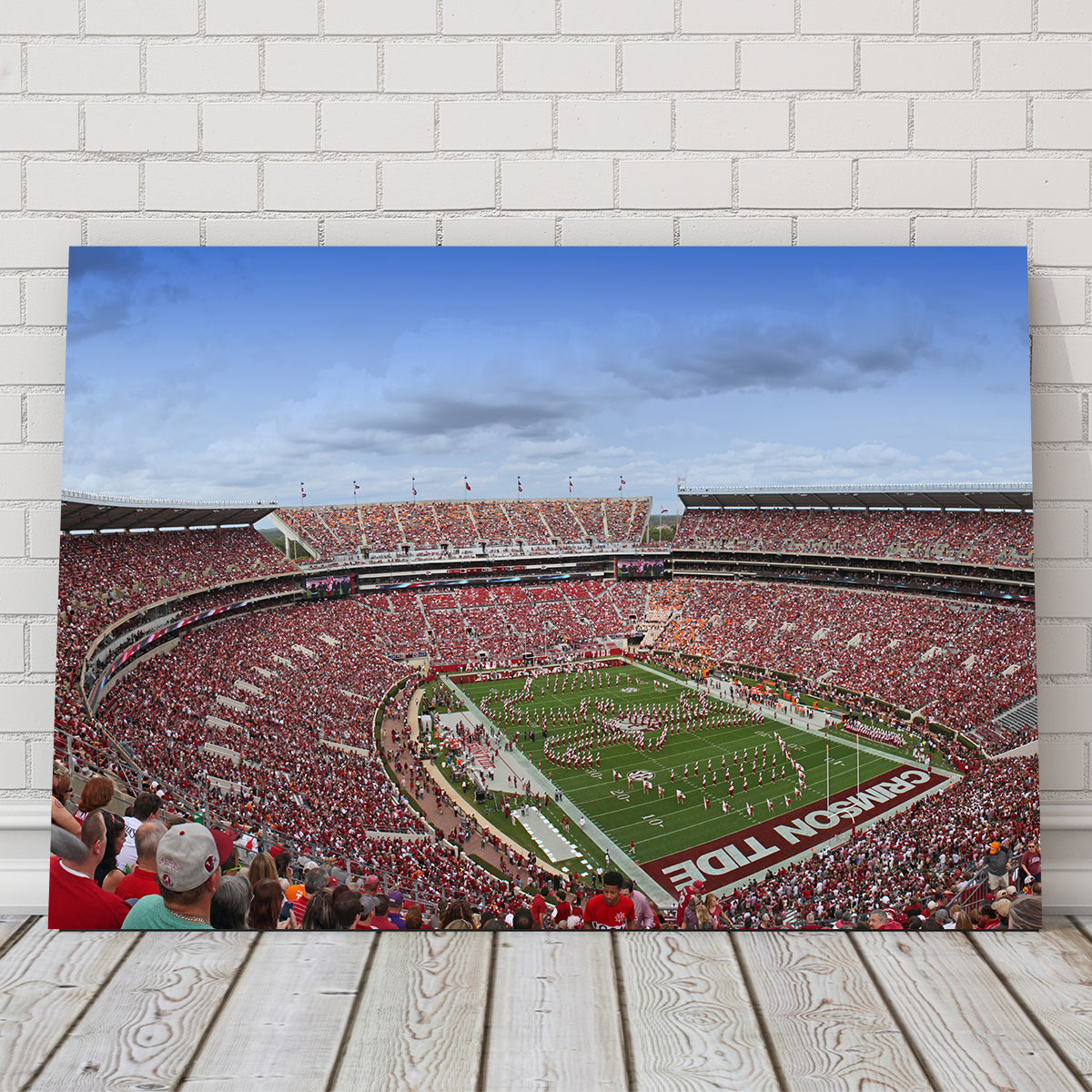 Bryant Denny Stadium Wall Art