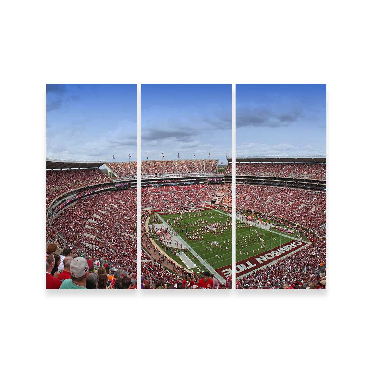 Bryant Denny Stadium Wall Art