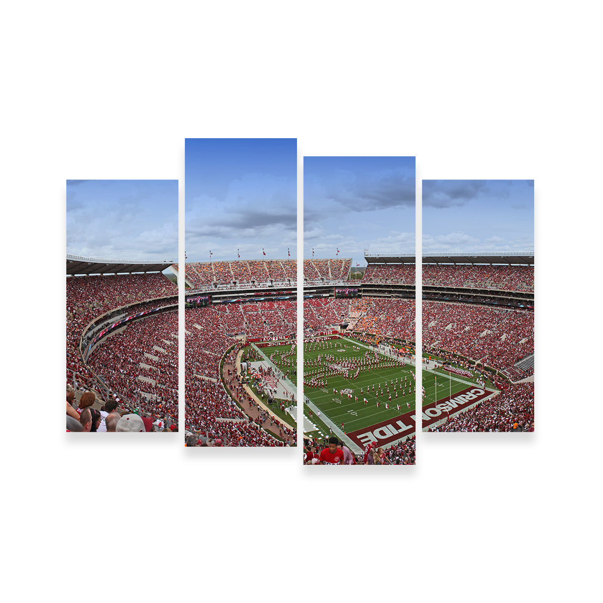 Bryant Denny Stadium Wall Art