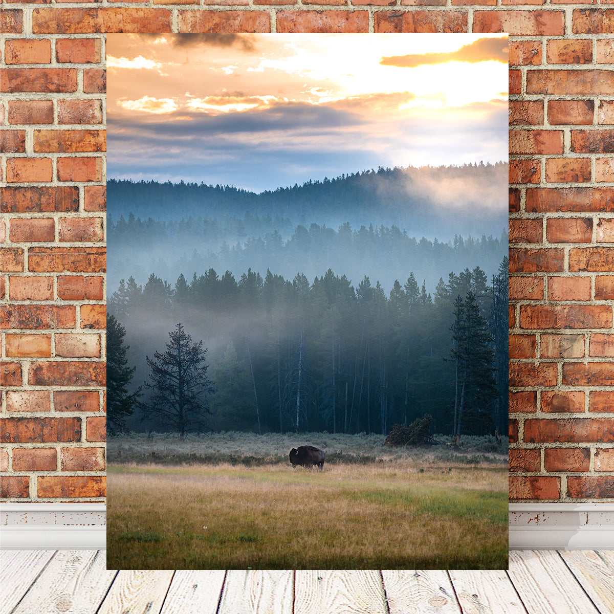Buffalo Sunrise Wall Art