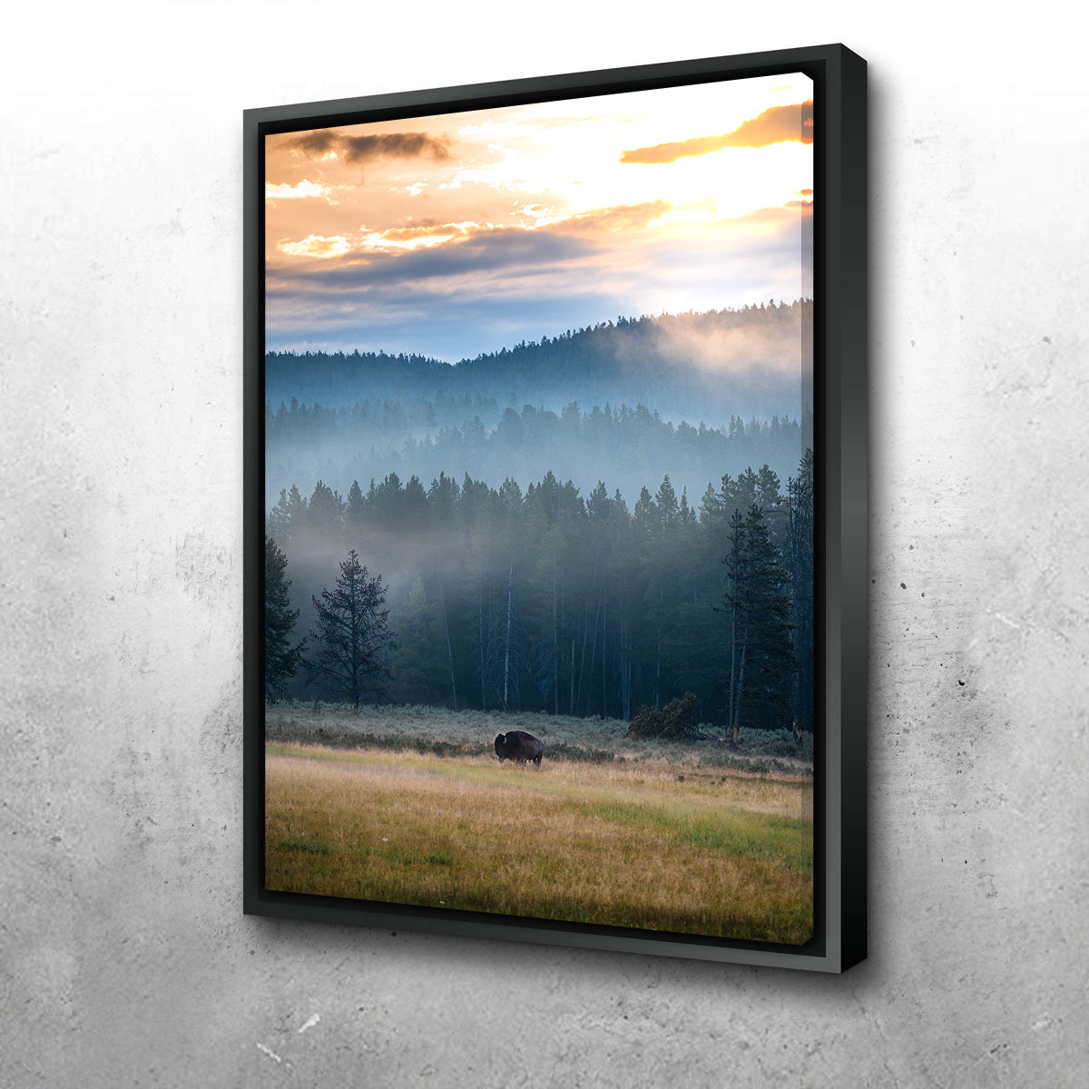 Buffalo Sunrise Wall Art