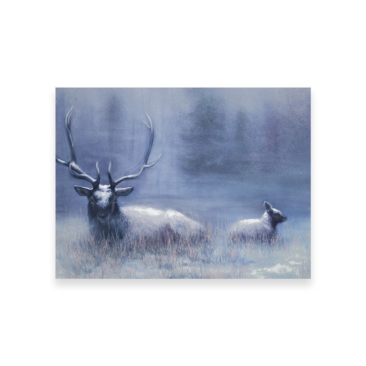Bull Elk & Calf Blue Wall Art