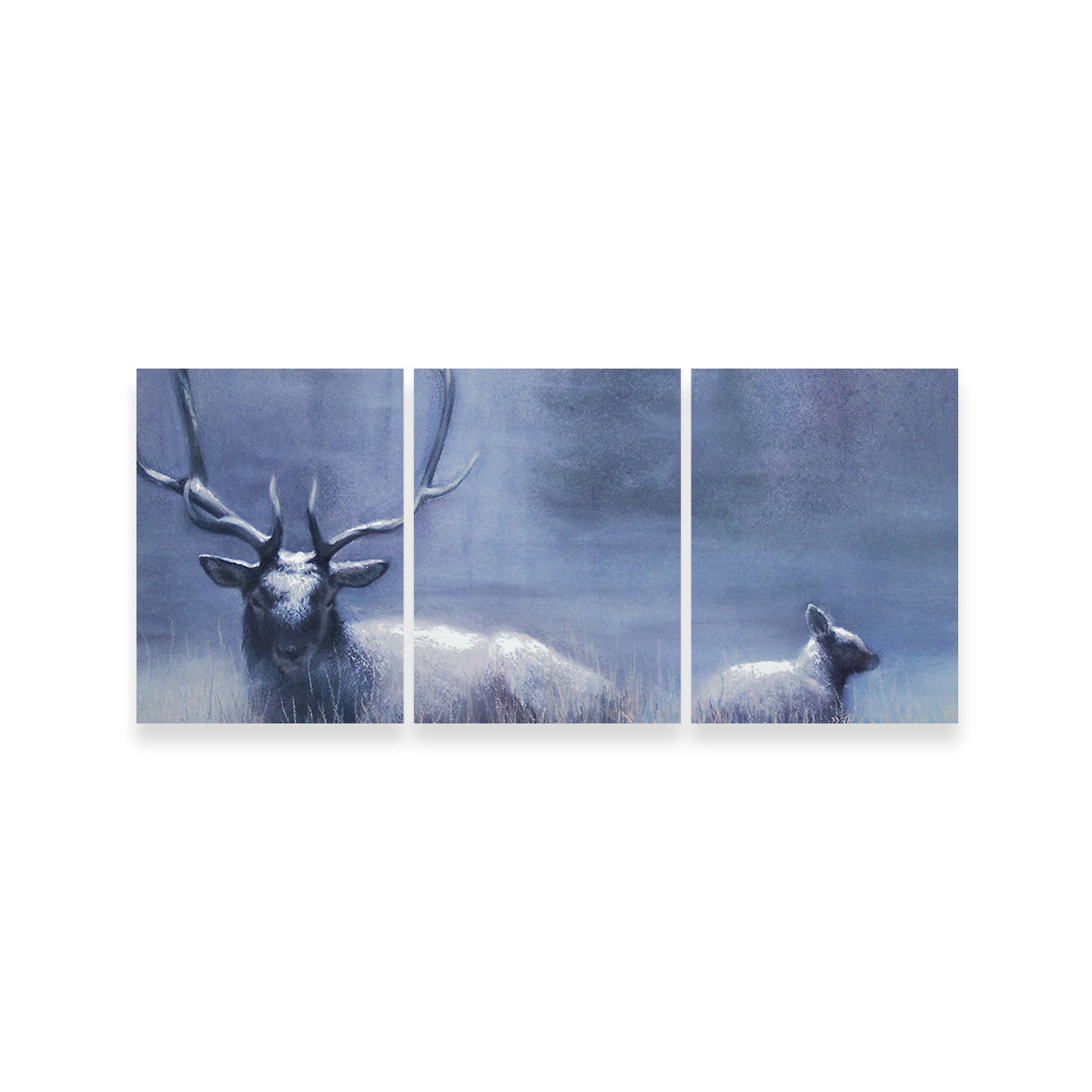 Bull Elk & Calf Blue Wall Art