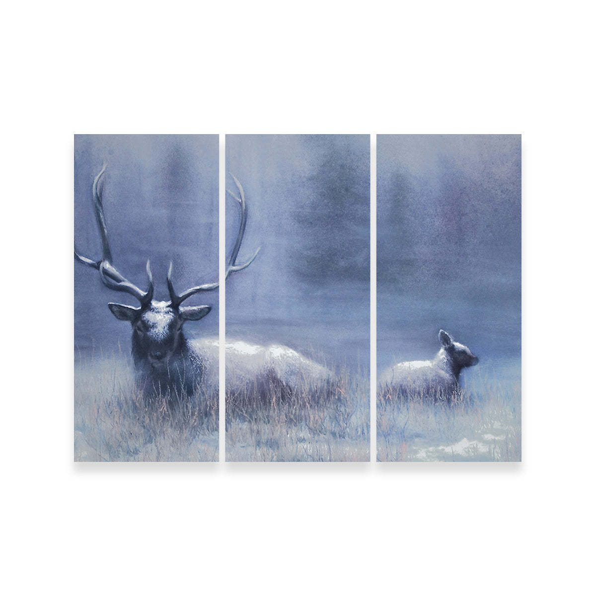 Bull Elk & Calf Blue Wall Art